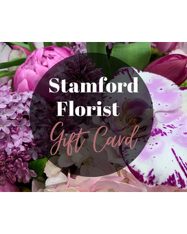 Platinum Gift Card size, inches height and inches wide.