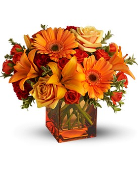 As Shown size, 11.5 inches height and 14 inches wide.