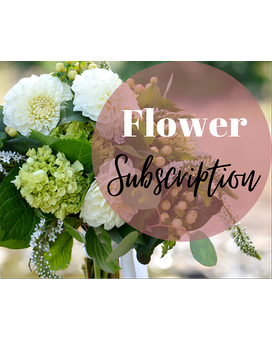 Basic Beauty- 6 Month size, inches height and inches wide.