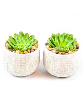 Duo size, inches height and inches wide.