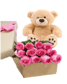 12 Roses in box size, inches height and inches wide.