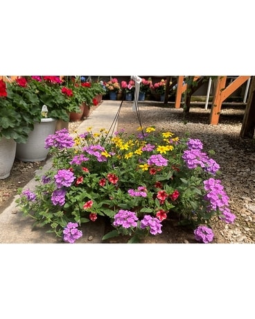 Mixed Basket - Sun size, inches height and inches wide.