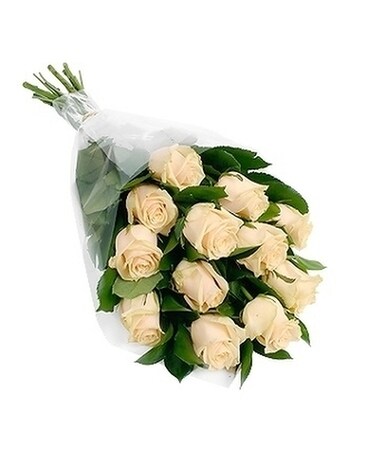 White size, inches height and inches wide.