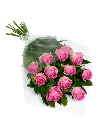 Pink size, inches height and inches wide.