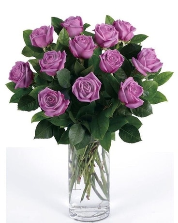 Lavender Roses size, inches height and inches wide.
