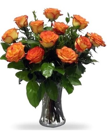 High & Magic Roses size, inches height and inches wide.