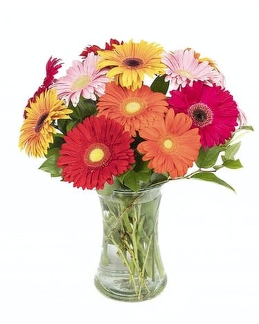 beautiful size, inches height and inches wide.