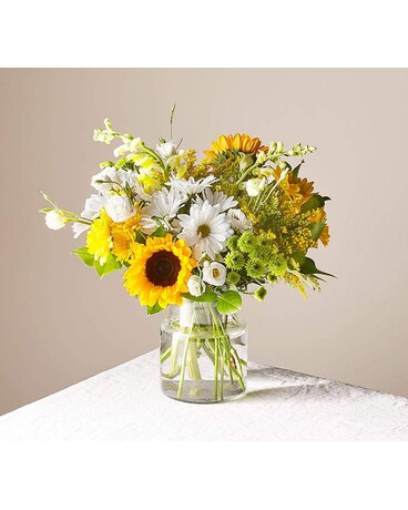 Deluxe size, inches height and inches wide.