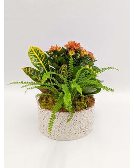 Deluxe size, 13 inches height and 12 inches wide.