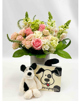 New Baby - Puppy size, inches height and inches wide.