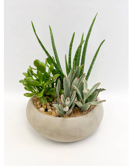 Urban Garden size, 16 inches height and 12 inches wide.