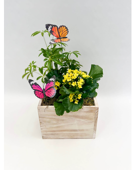 Standard size, 13 inches height and 10 inches wide.