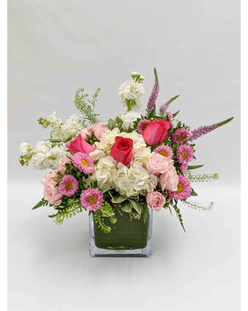 Deluxe size, 16 inches height and 15 inches wide.