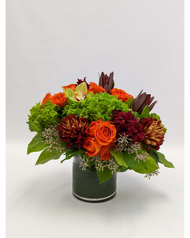Deluxe size, 12.5 inches height and 13 inches wide.