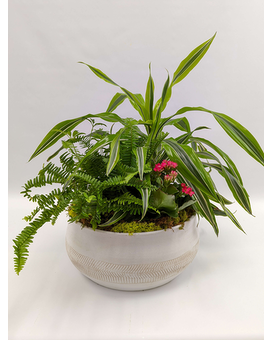 Standard size, 16 inches height and 17 inches wide.