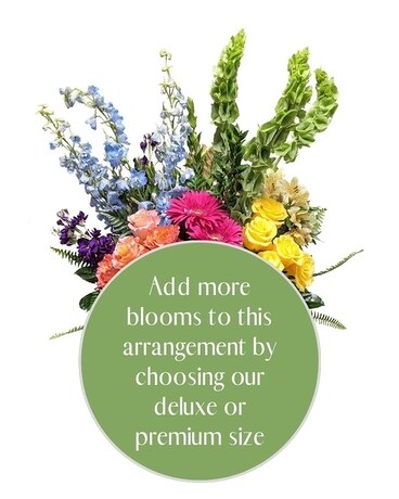 Premium size, inches height and inches wide.