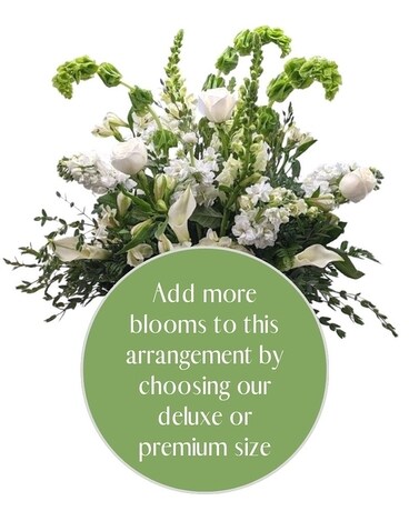 Premium size, inches height and inches wide.