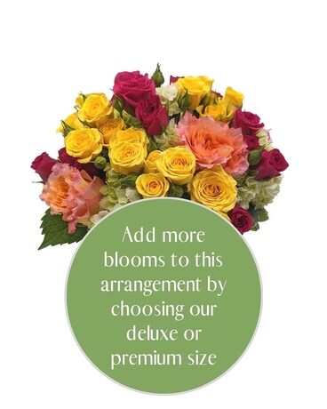 Premium size, inches height and inches wide.