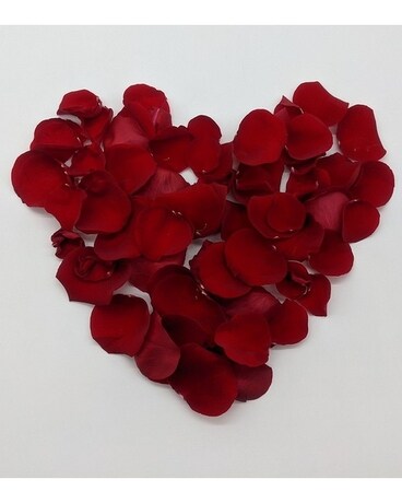Red Rose Petals size, inches height and inches wide.