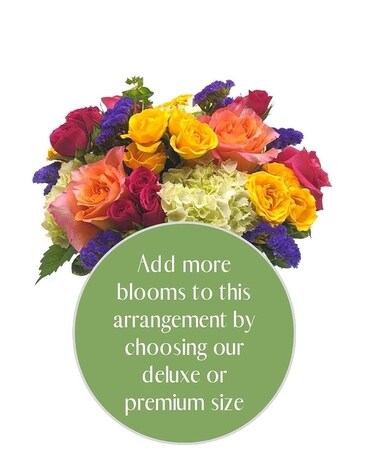 Premium size, inches height and inches wide.