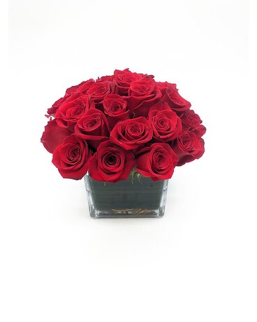 Platinum - 24 Roses size, inches height and inches wide.