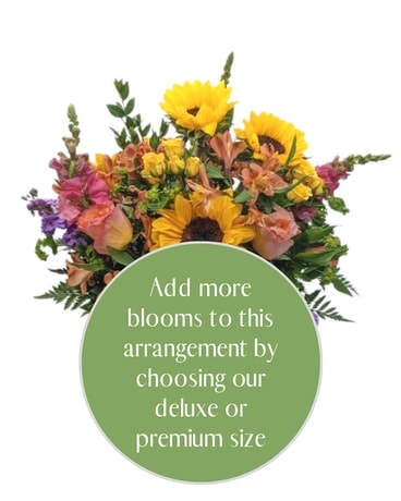Premium size, inches height and inches wide.