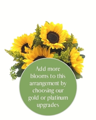 Platinum size, inches height and inches wide.
