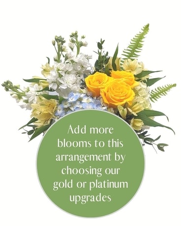 Gold without Balloon size, inches height and inches wide.