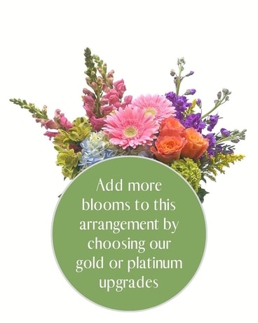 Platinum size, inches height and inches wide.