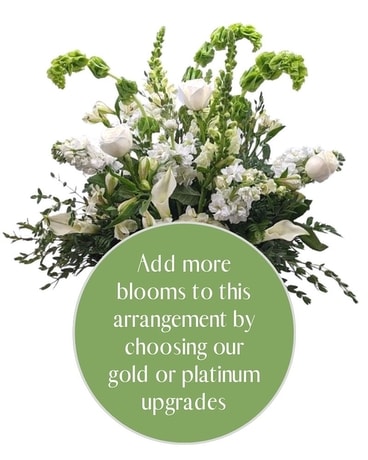 Platinum size, inches height and inches wide.