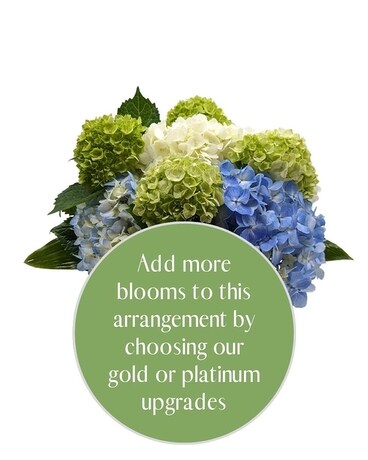 Platinum size, inches height and inches wide.