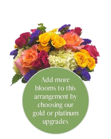 Platinum size, inches height and inches wide.