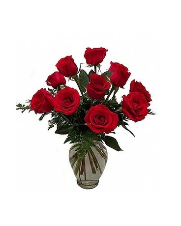 Red size, inches height and inches wide.
