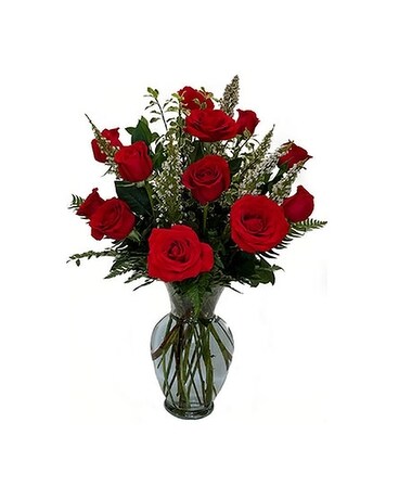 12 Red size, inches height and inches wide.