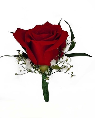 Red Rose size, inches height and inches wide.
