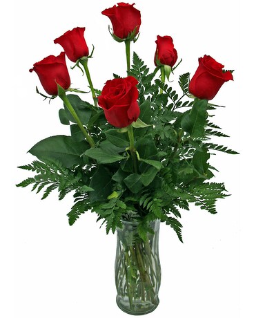 Half Dozen Red Roses size, inches height and inches wide.