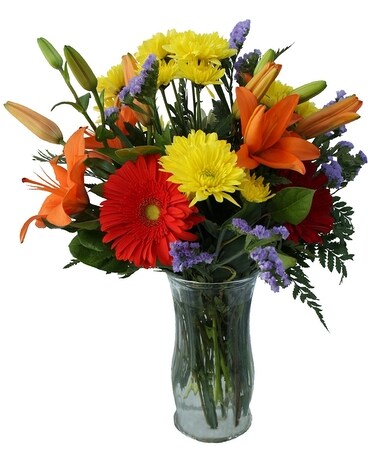 Standard size, 16 inches height and 15 inches wide.