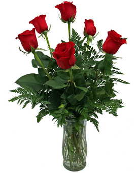 Half Dozen Roses in a Variety of Colors size, inches height and inches wide.