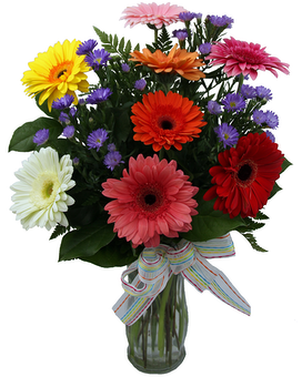 Eight Gerberas size, inches height and inches wide.