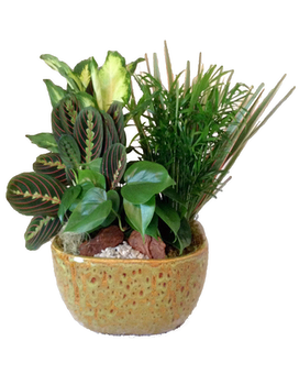 As Shown size, inches height and inches wide.