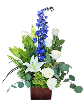 Standard size, 26 inches height and 17 inches wide.