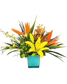 Standard size, 16 inches height and 19 inches wide.