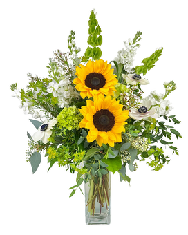 Standard size, 25 inches height and 17 inches wide.