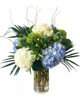 Standard size, 25 inches height and 17 inches wide.