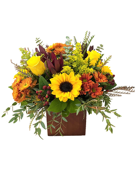 Standard size, 17 inches height and 17 inches wide.