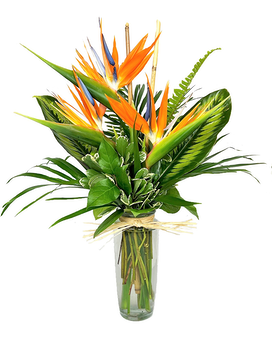 As Shown size, 23 inches height and 17 inches wide.