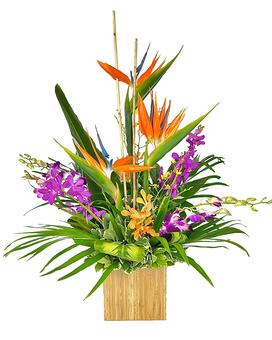 Standard size, 27 inches height and 24 inches wide.