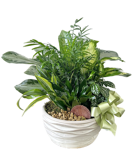 As Shown size, inches height and inches wide.
