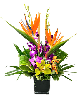 As Shown size, 19 inches height and 14 inches wide.