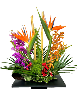 As Shown size, 20 inches height and 18 inches wide.